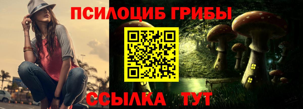 Жуковский  Псилоцибиновые грибы мухоморы  Вход с VPN  Псилоцибиновые грибы Psilocybe 